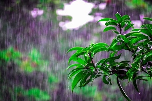 4 Ways to Avoid Unnecessary Expenditures During the Rainy Season