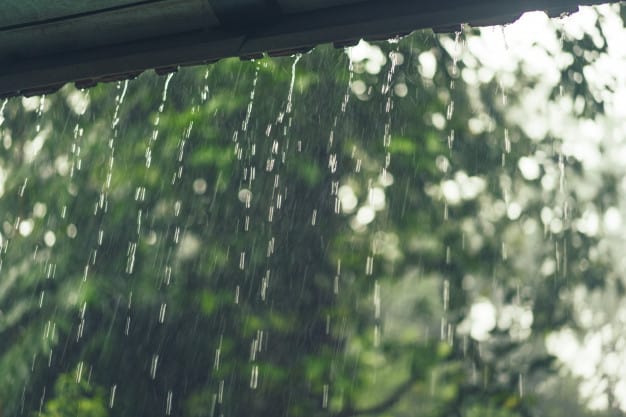 Affordable Protection: Simple Precautions during the Rainy Season