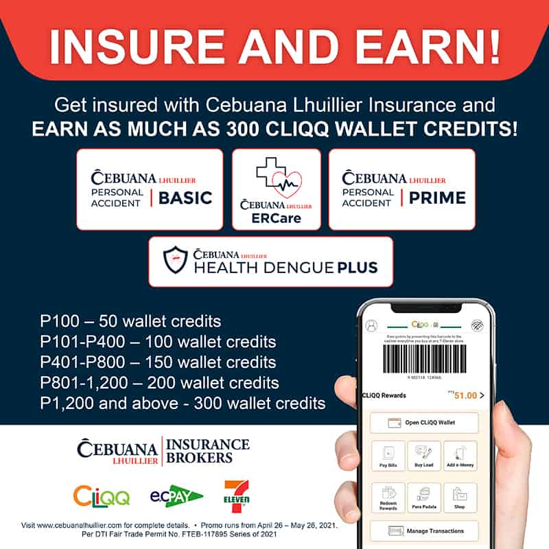 INSURE AND EARN